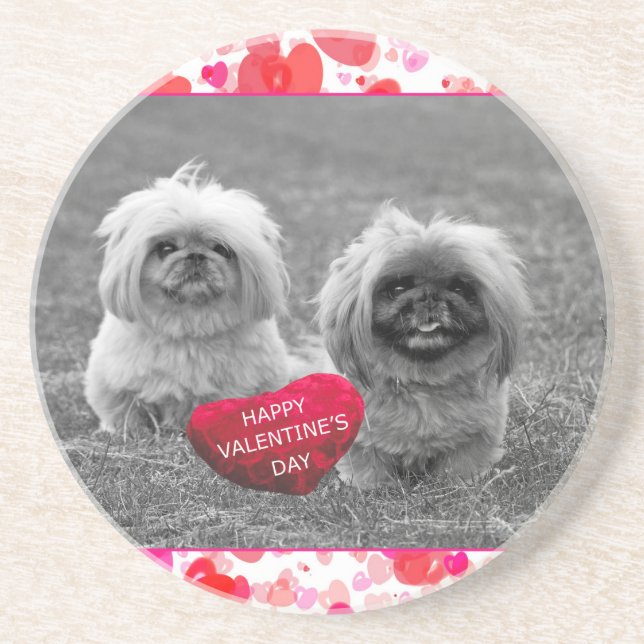 Pekingese Puppies wishing Happy Valentine's Day Coaster (Front)
