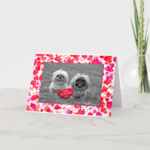 Pekingese Puppies wishing Happy Valentine's Day Holiday Card