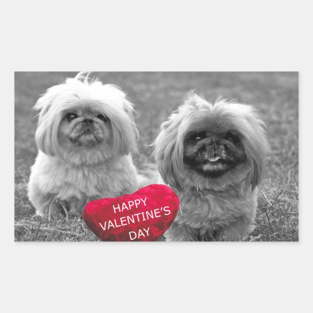 Pekingese Puppies wishing Happy Valentine's Day Rectangular Sticker (Front)