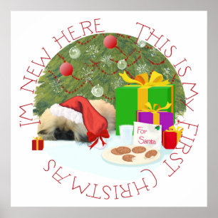 Pekingese Puppy 1st Christmas Poster