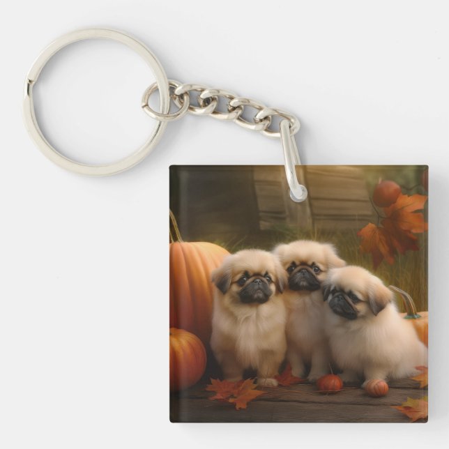Pekingese Puppy Autumn Delight Pumpkin  Key Ring (Front)