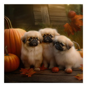 Pekingese Puppy Autumn Delight Pumpkin Poster