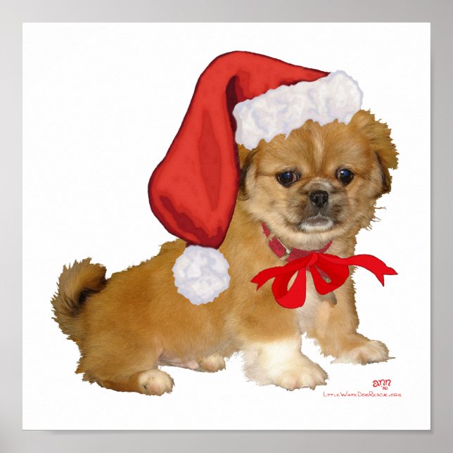 Pekingese Puppy Christmas Poster (Front)
