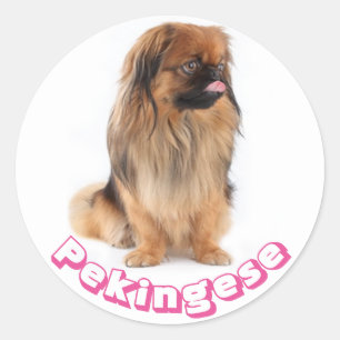 Pekingese Puppy Dog Pink Love Sticker / Seal