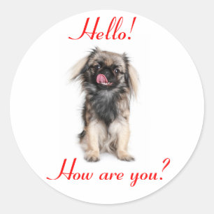 Pekingese Puppy Dog Red Hello Classic Round Sticker