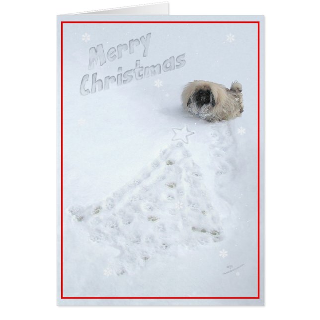 Pekingese Puppy First Christmas (Front)