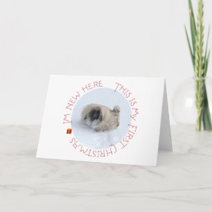 Pekingese Puppy First Christmas Holiday Card