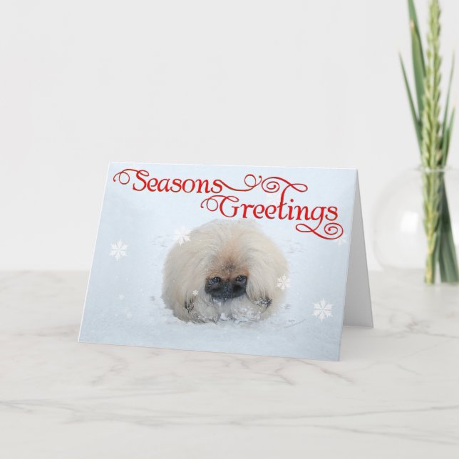 Pekingese Puppy First Christmas Holiday Card (Front)