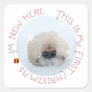 Pekingese Puppy First Christmas Square Sticker