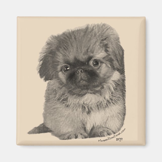 Pekingese Puppy Magnet (Front)