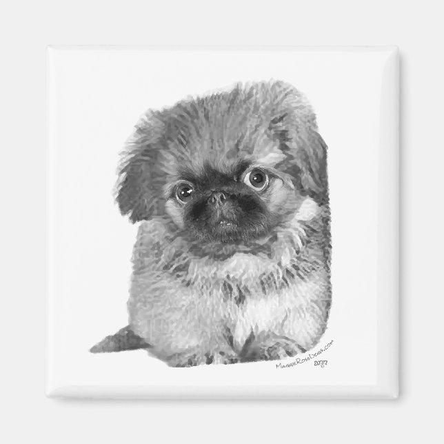 Pekingese Puppy Magnet (Front)