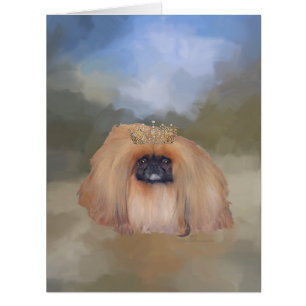 Pekingese Royal