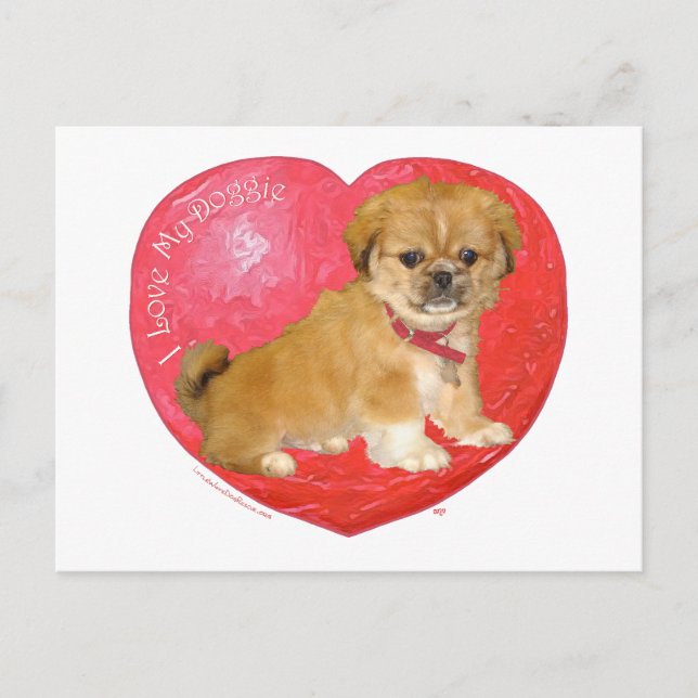 Pekingese / Shih Tzu Mix Valentine's Day Holiday Postcard (Front)