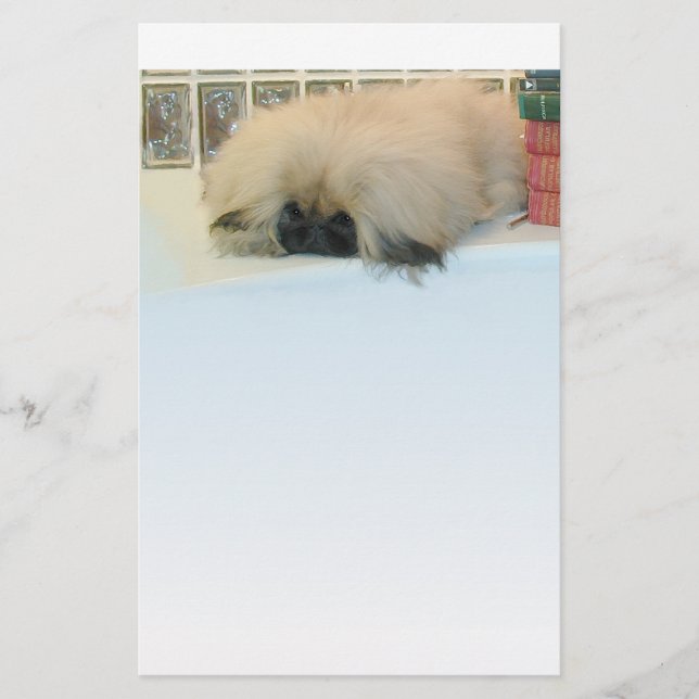 Pekingese Thinking Big (Front)