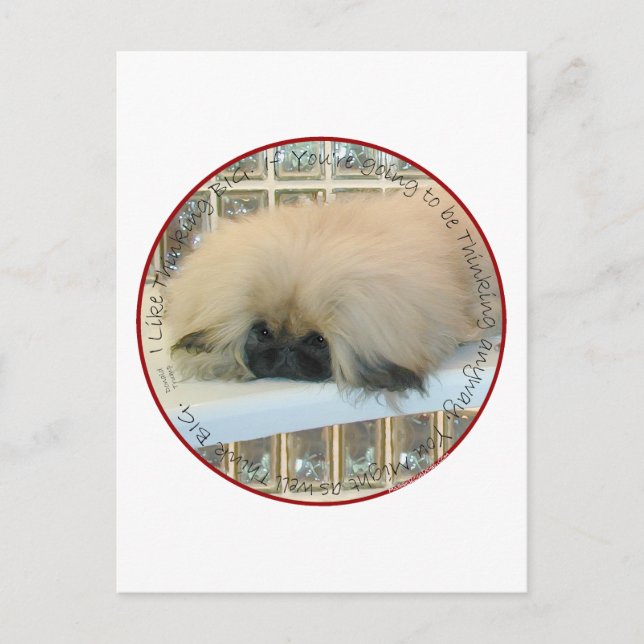 Pekingese Thinking Big Postcard (Front)