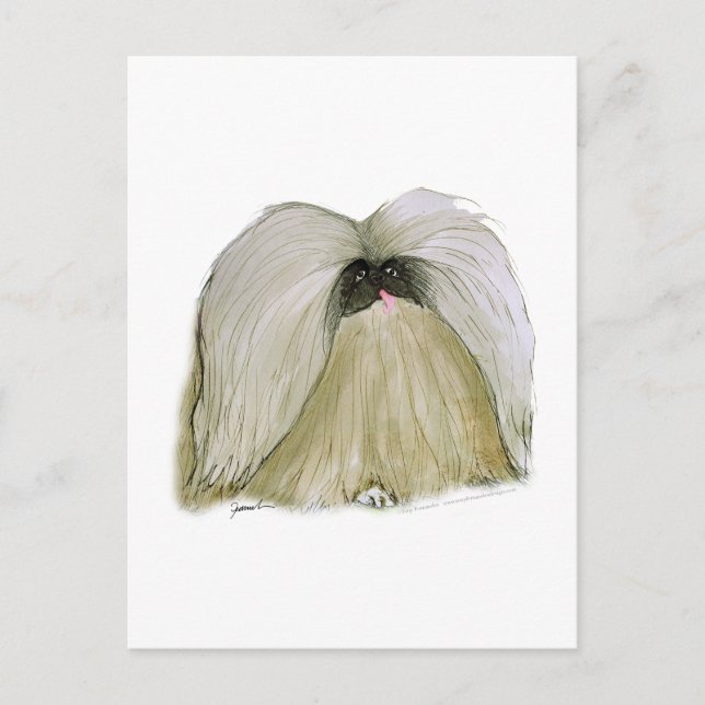 Pekingese, tony fernandes postcard (Front)