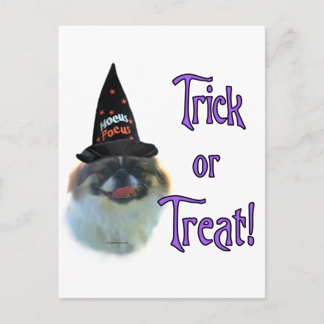 Pekingese Trick Postcard (Front)