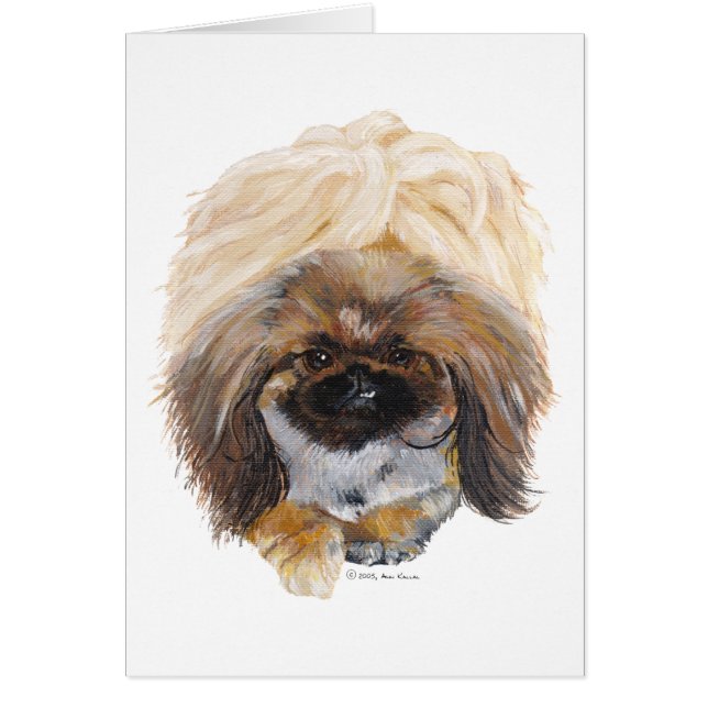 Pekingese Tuffy (Front)