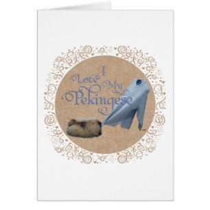 Pekingese Tug-O-War