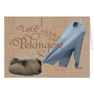Pekingese Tug-O-War