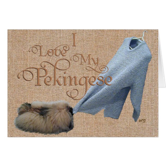 Pekingese Tug-O-War (Front Horizontal)