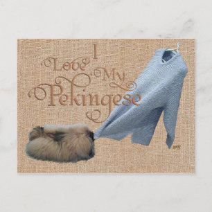 Pekingese Tug-O-War Postcard