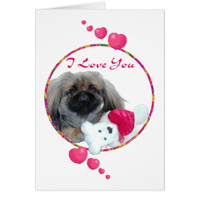 Pekingese Valentine (Front)