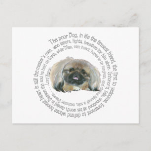 Pekingese Wisdom - and Lord Byron's Lament Postcard