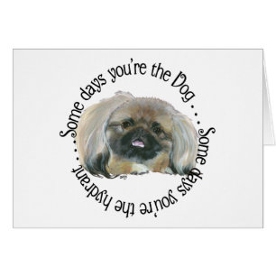 Pekingese Wisdom - Some days . . .