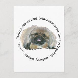 Pekingese Wisdom - The Dog is Man's Best Friend Postcard
