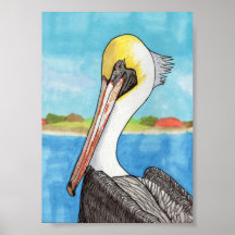 Pelican 5x7