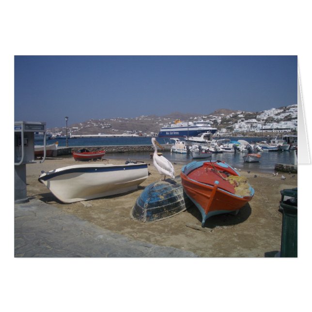 Pelican and Boats (Front Horizontal)