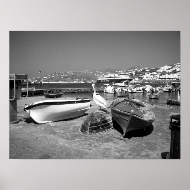 Pelican and Boats (Black and White) Poster (Front)