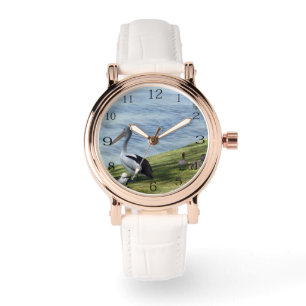 Pelican And Ducks, Watch