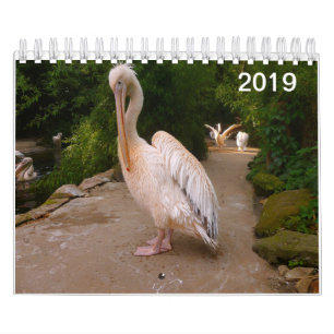 Pelican and Peacock Calendar. Calendar