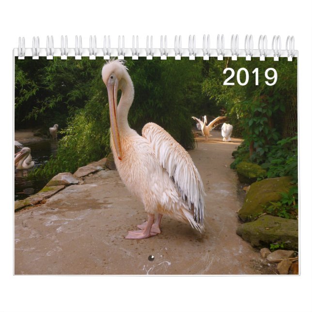 Pelican and Peacock Calendar. Calendar (Cover)