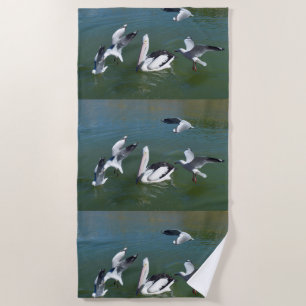 Pelican And The Gate Crashers, Beach Towel