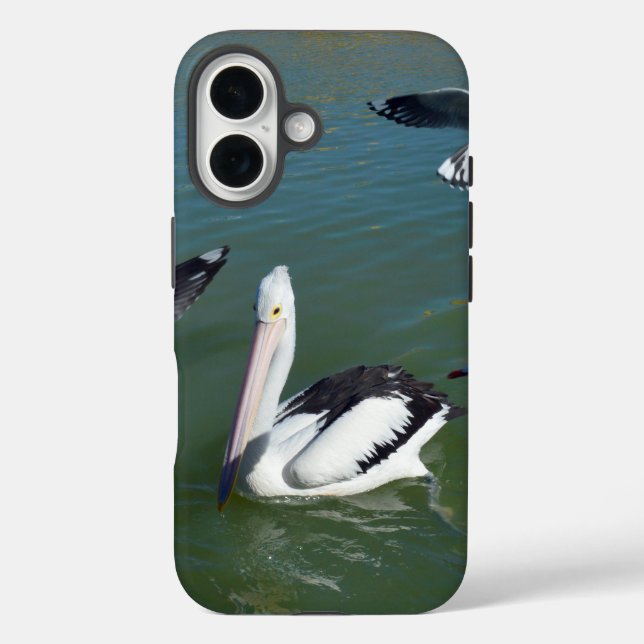 Pelican And The  Gate Crashers,  Case-Mate iPhone Case (Back)