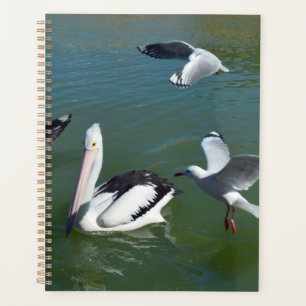 Pelican And The Gate Crashers, Planner
