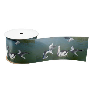 Pelican And The Gate Crashers, Satin Ribbon