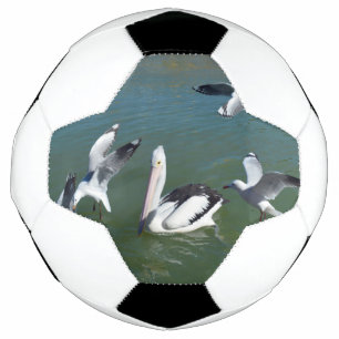 Pelican And The Gate Crashers, Soccer Ball
