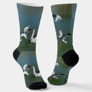 Pelican And The Gate Crashers, Socks
