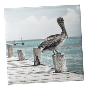 Pelican Aqua Blue Ocean Coastal Ceramic Tile