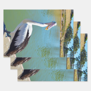 Pelican Back Chat, Wrapping Paper Sheets
