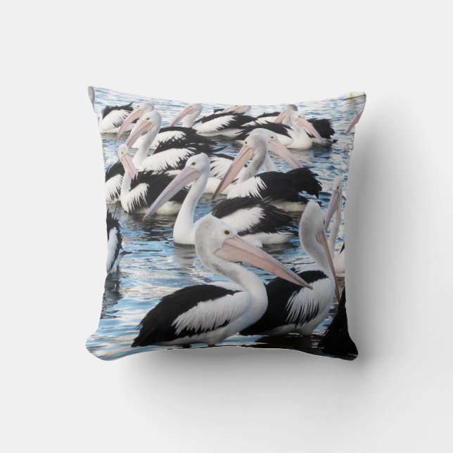 pelican bird flock gift cushion throw pillow (Front)