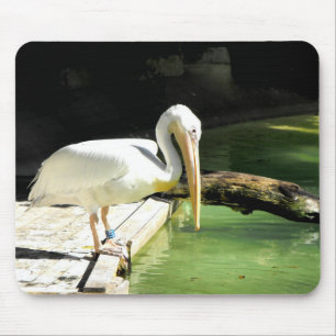 Pelican bird mouse pad