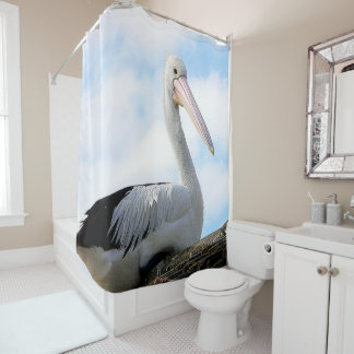 Pelican Bird on Shower Curtain