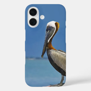 Pelican Bird Watching Photography iPhone 16 Case