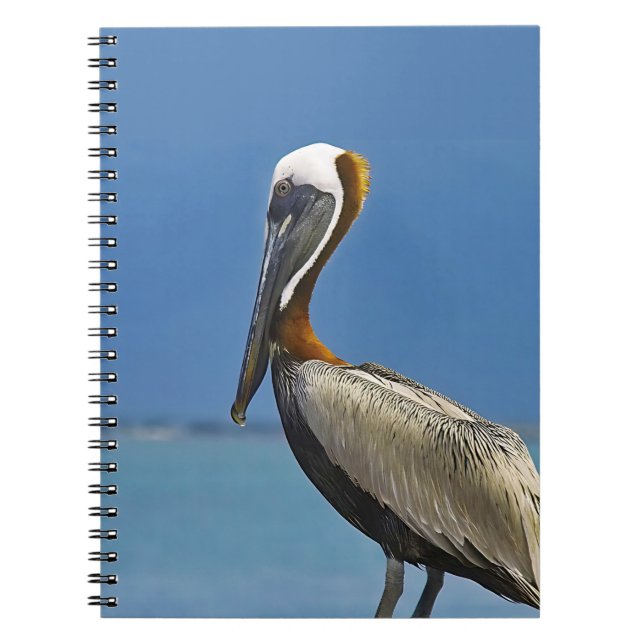 Pelican Bird Watching Photography Notebook (Front)