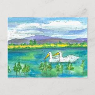 Pelican Birds Desert Mountain Lake Watercolor Postcard